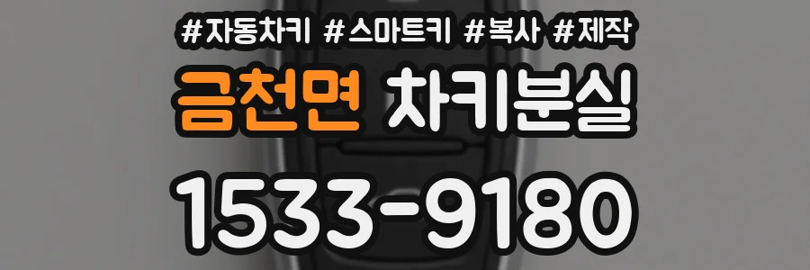 금천면 차키분실