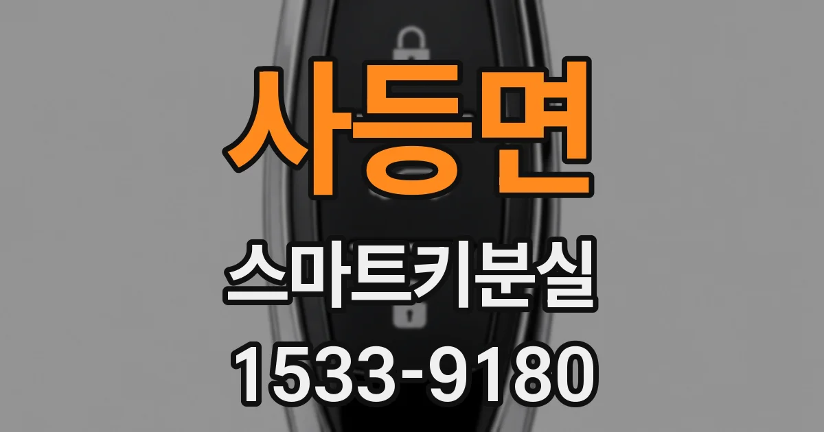사등면 스마트키분실