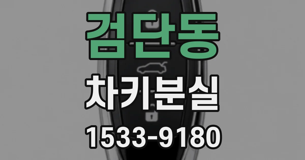 검단동 차키분실