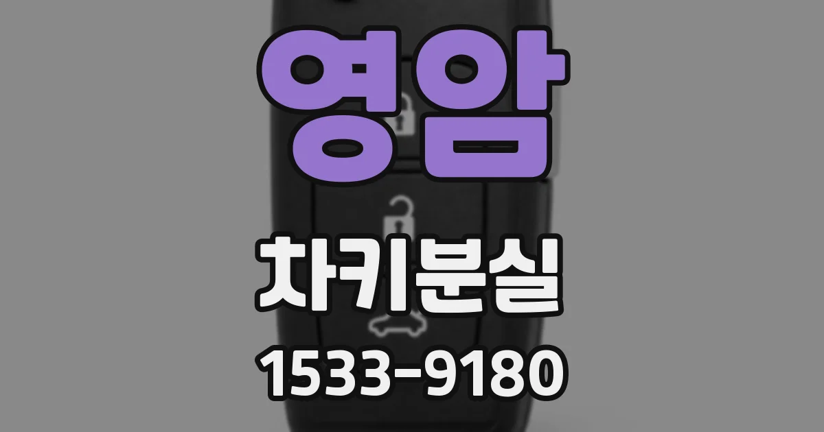 영암 차키분실