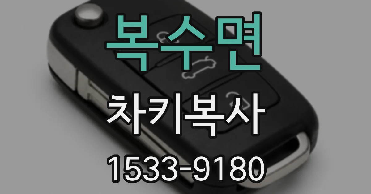 복수면 차키복사