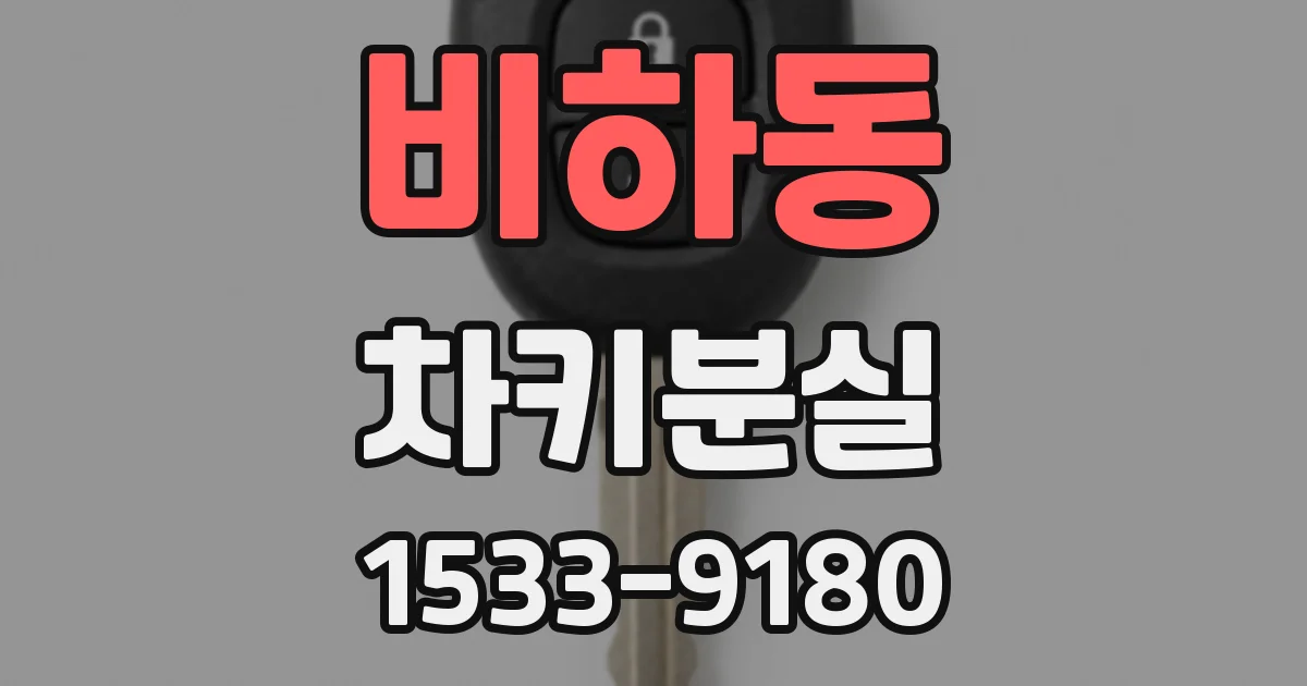 비하동 차키분실