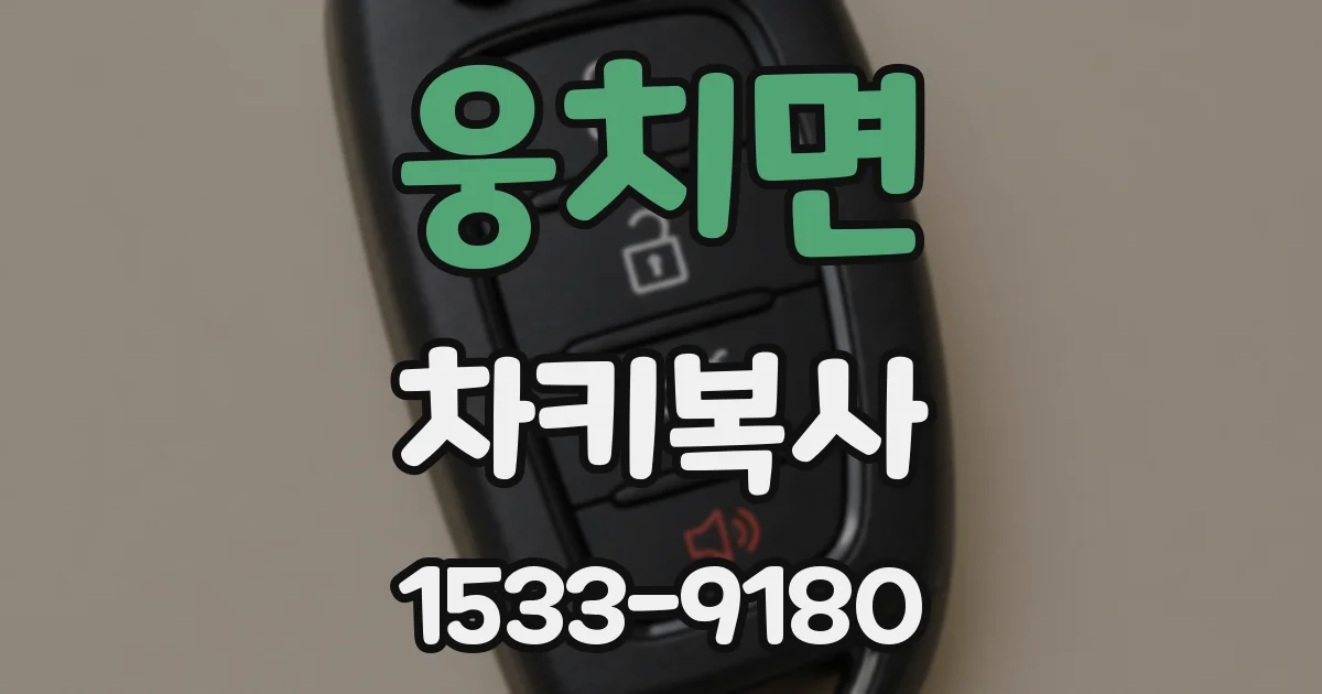 웅치면 차키복사