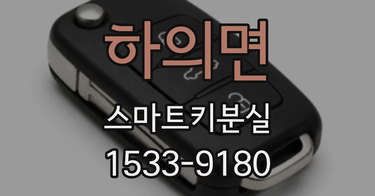 하의면 스마트키분실