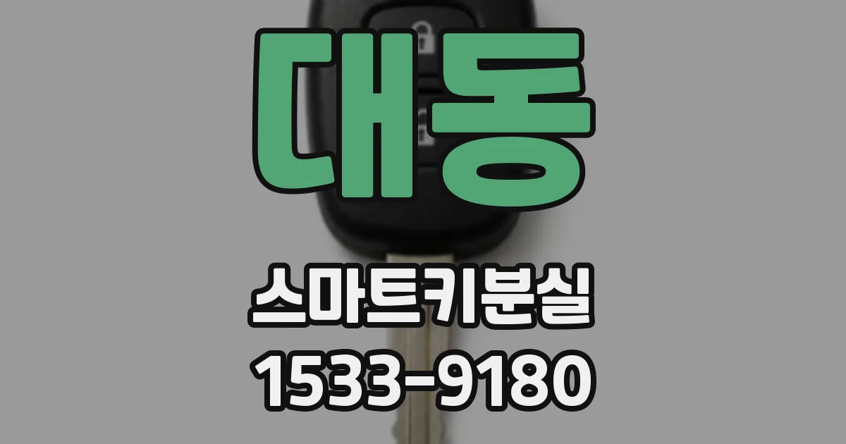 대동 스마트키분실