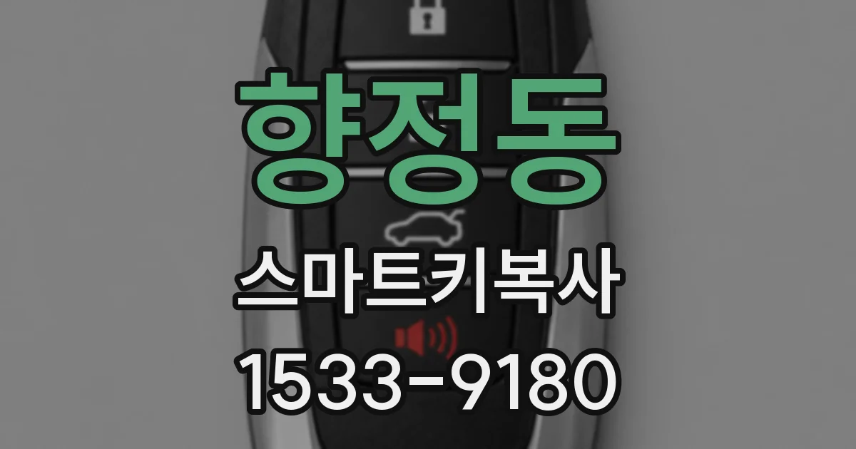 향정동 스마트키복사