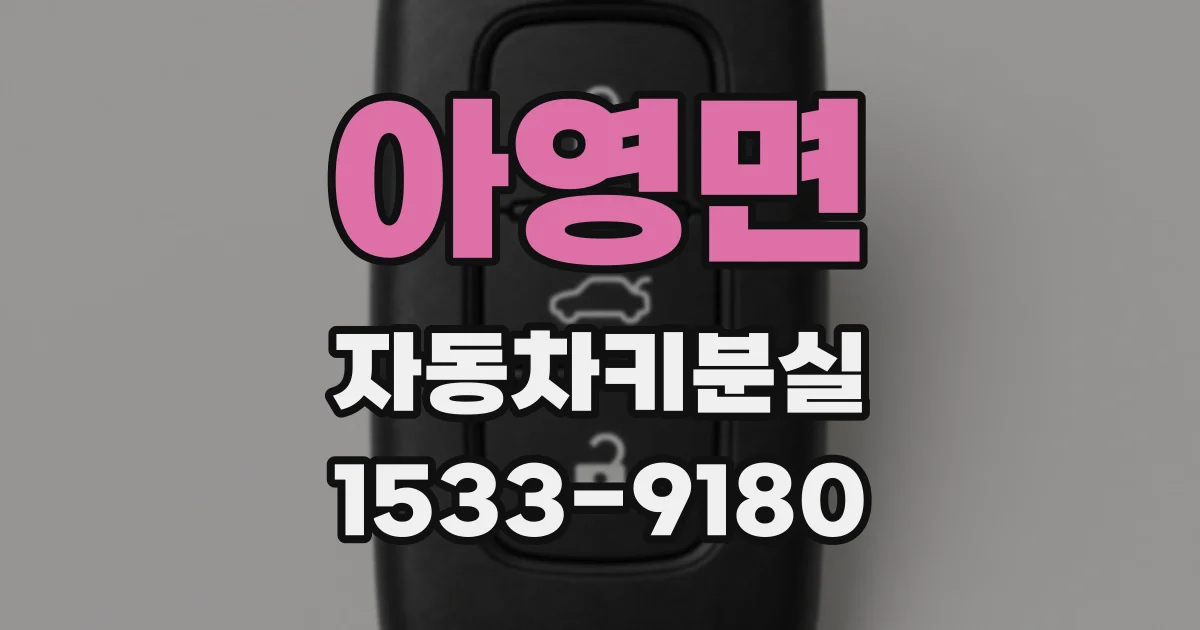 아영면 자동차키분실