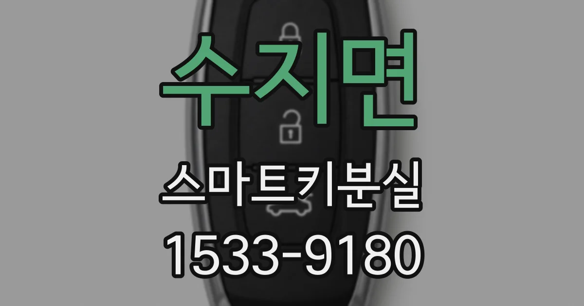 수지면 스마트키분실