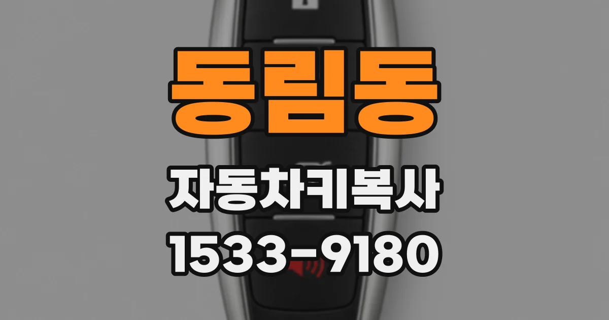 동림동 자동차키복사