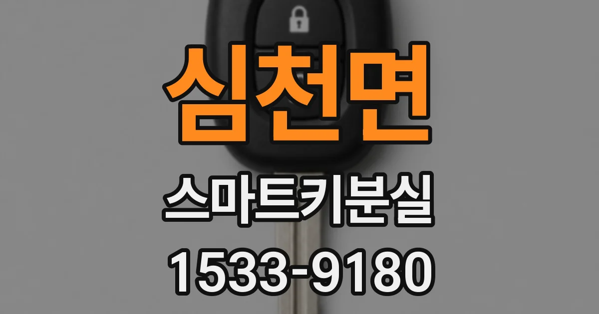 심천면 스마트키분실