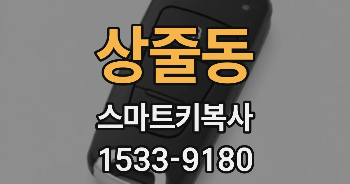 상줄동 스마트키복사