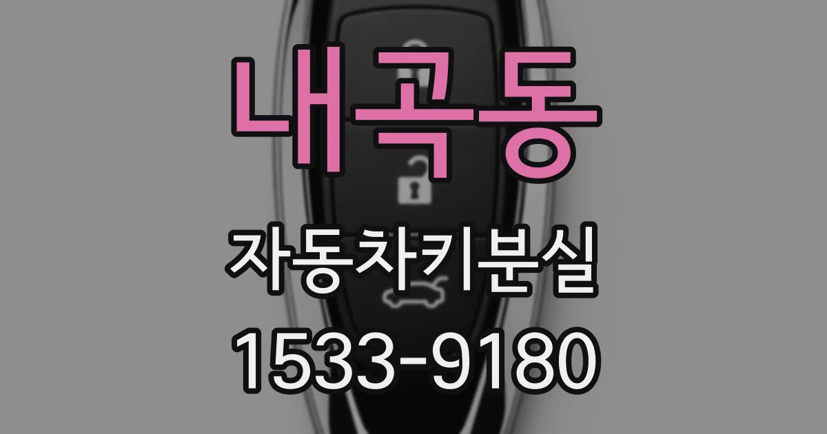 내곡동 자동차키분실