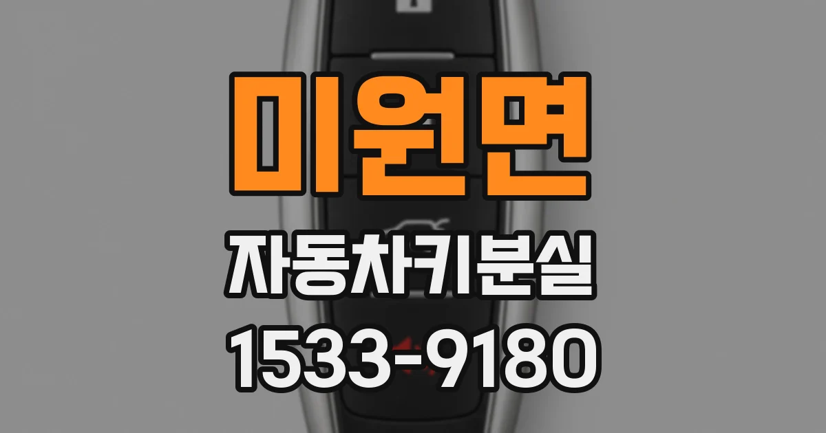 미원면 자동차키분실