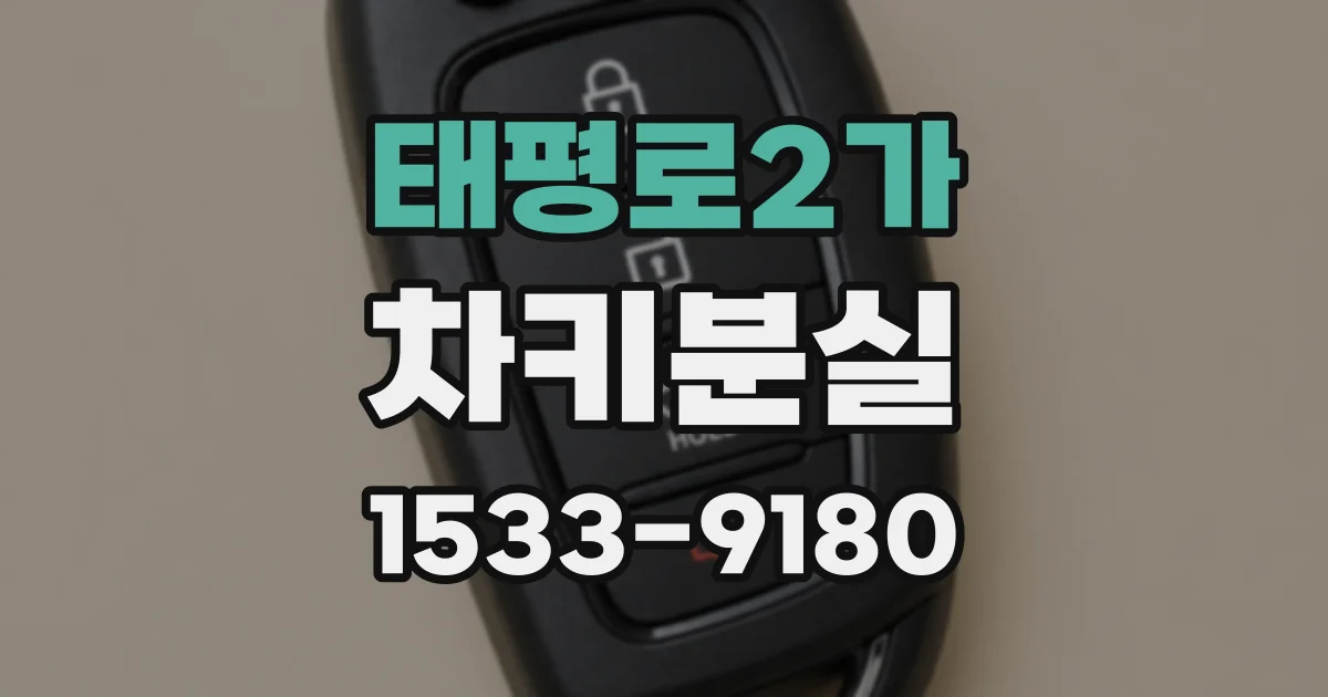 태평로2가 차키분실