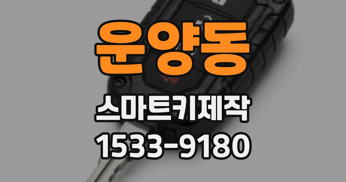 운양동 스마트키제작