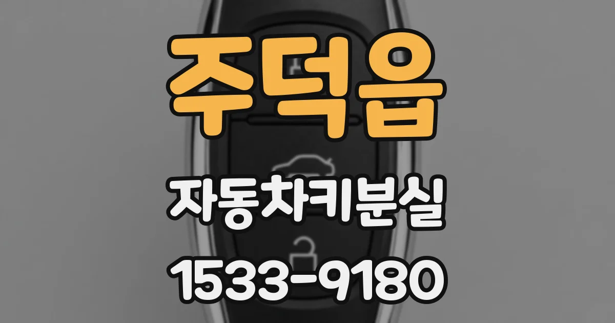 주덕읍 자동차키분실
