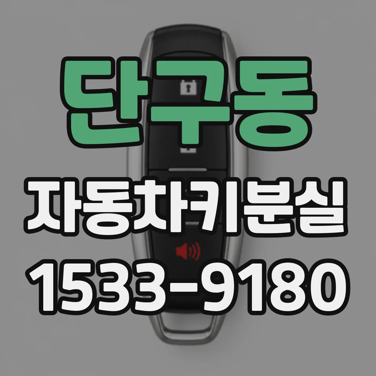 단구동 자동차키분실