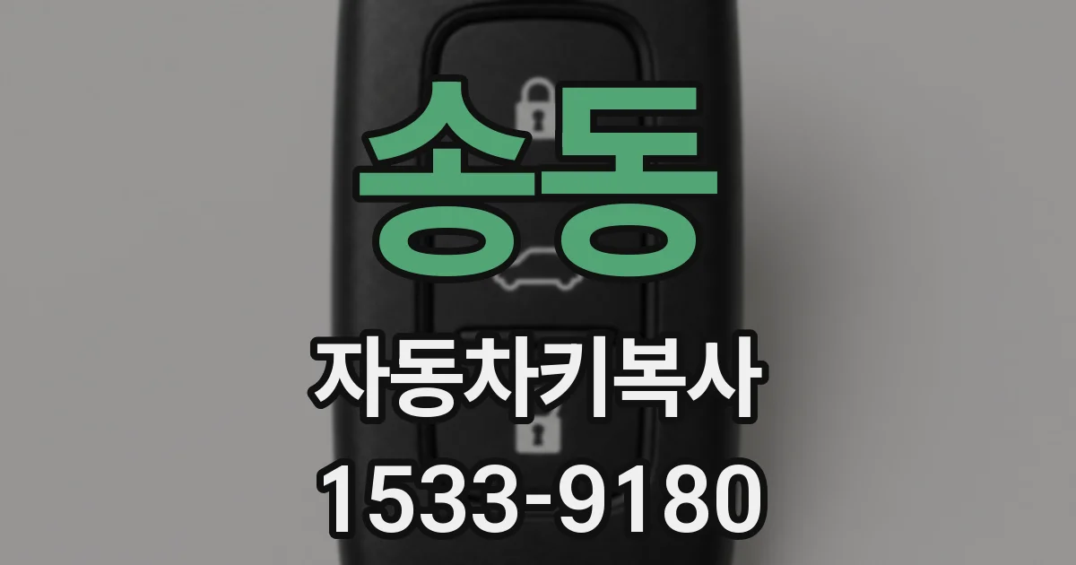 송동 자동차키복사