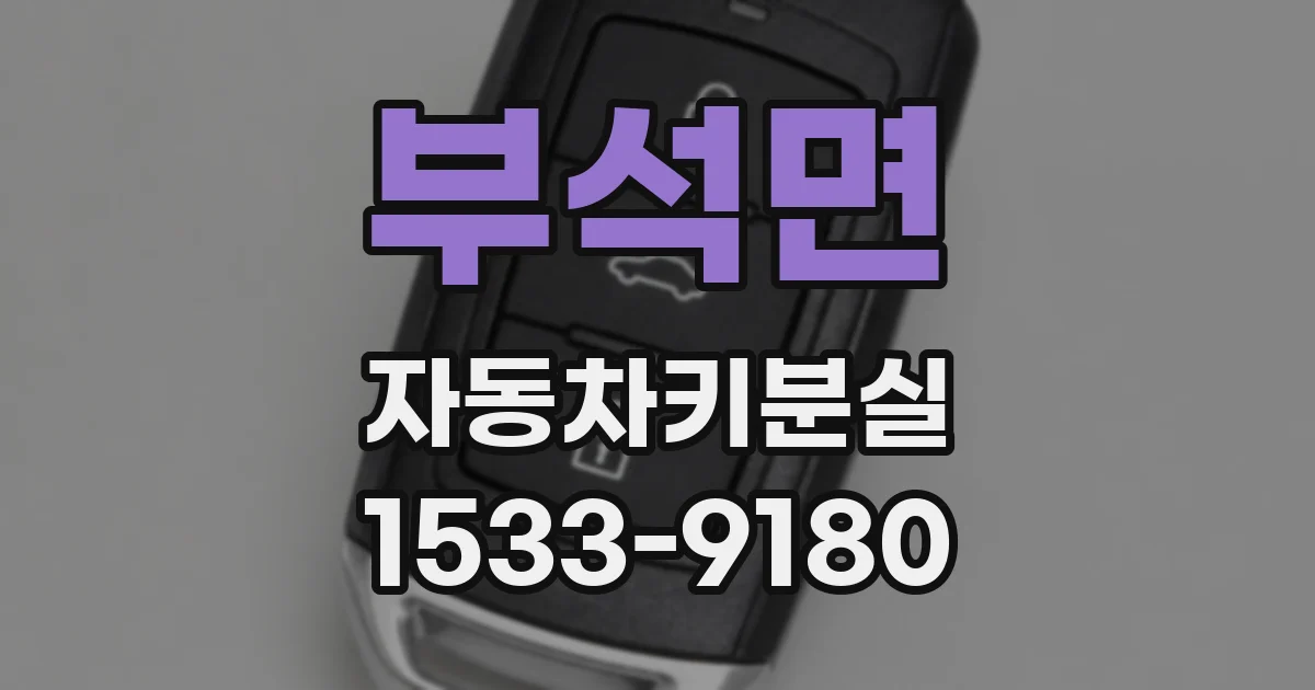 부석면 자동차키분실