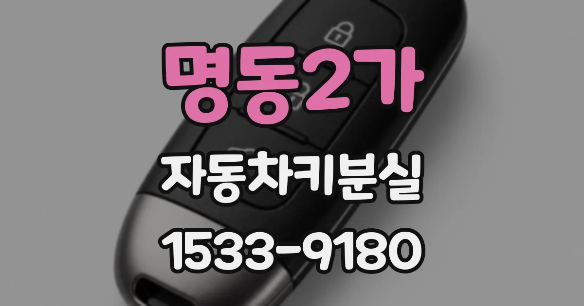 명동2가 자동차키분실