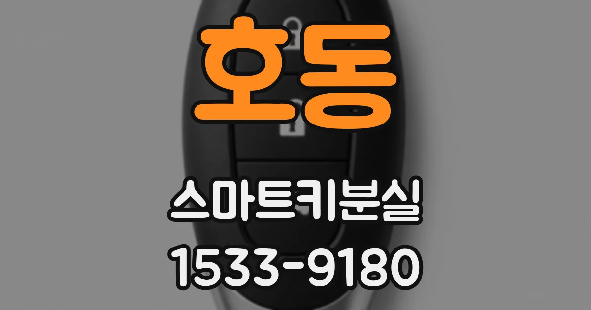 호동 스마트키분실