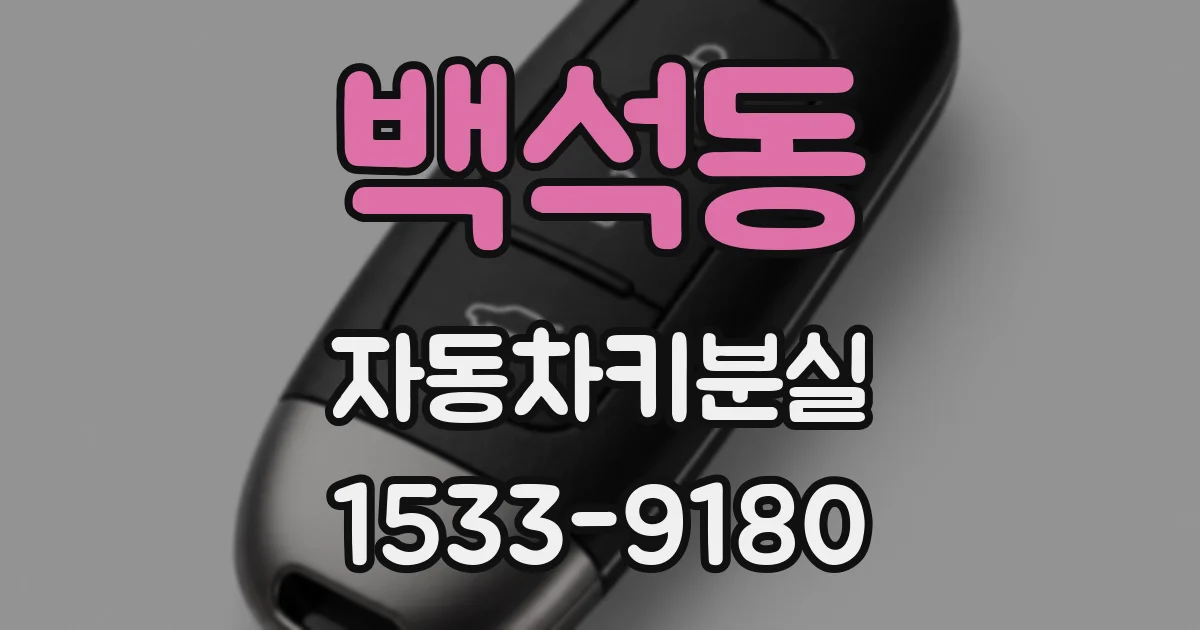 백석동 자동차키분실