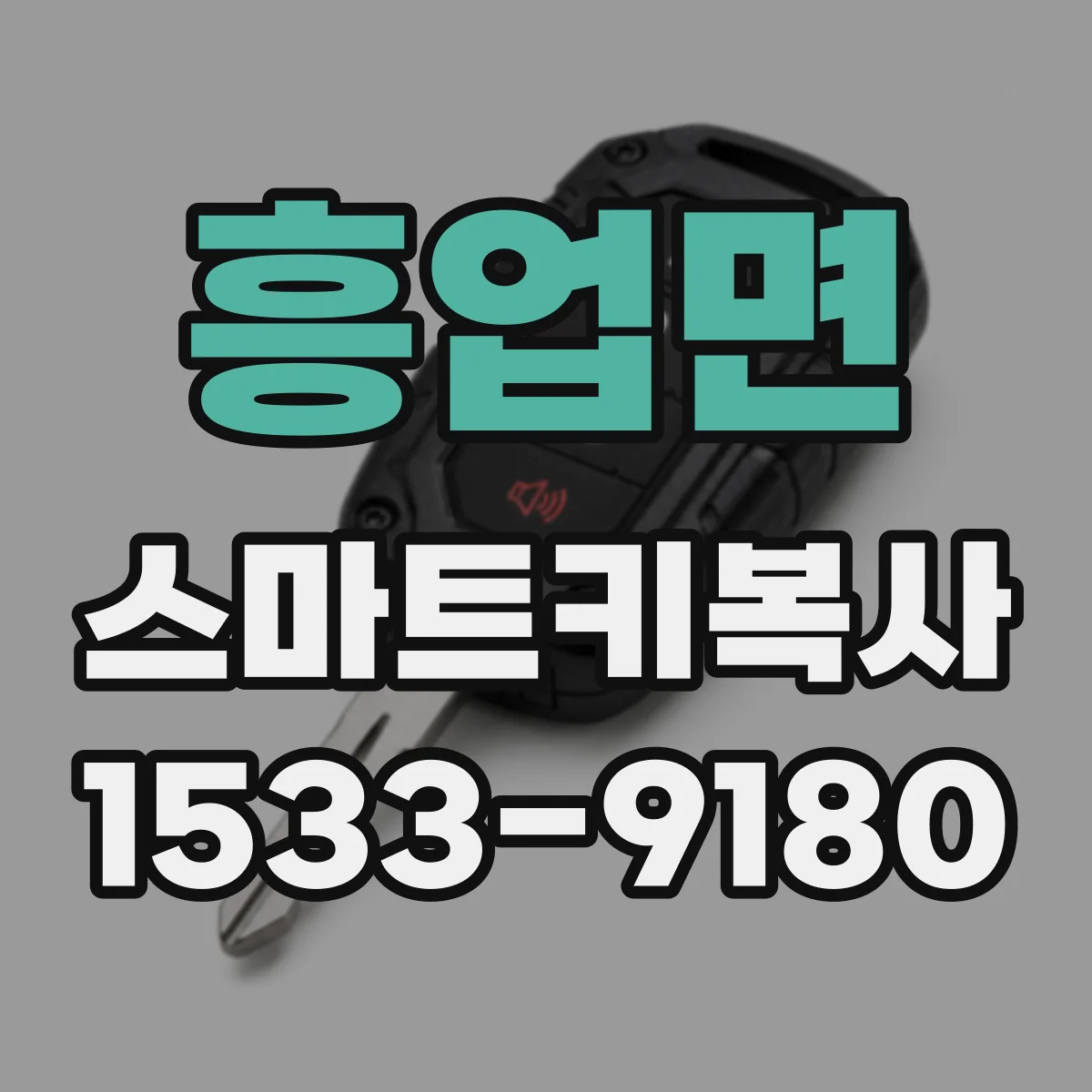 흥업면 스마트키복사