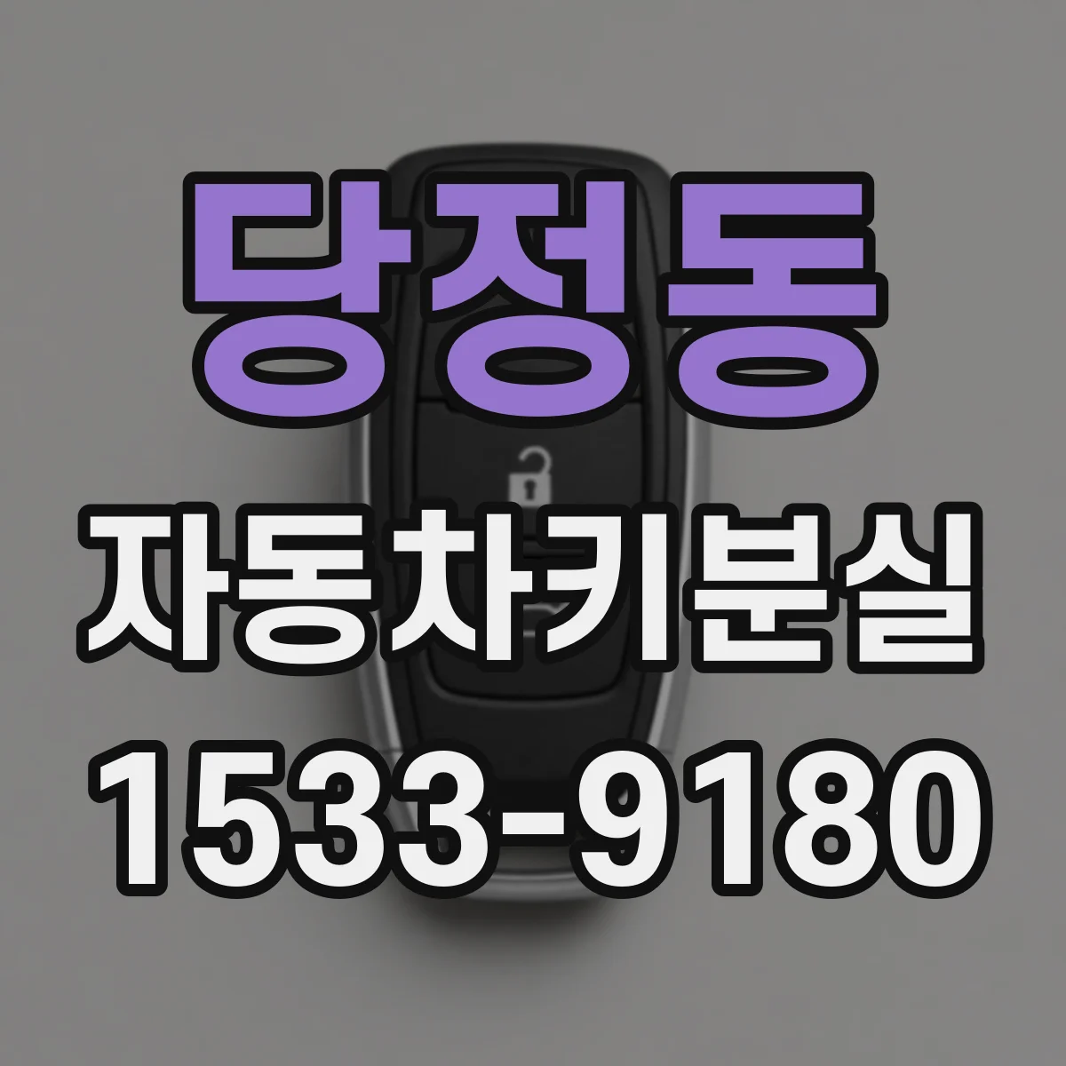 당정동 자동차키분실