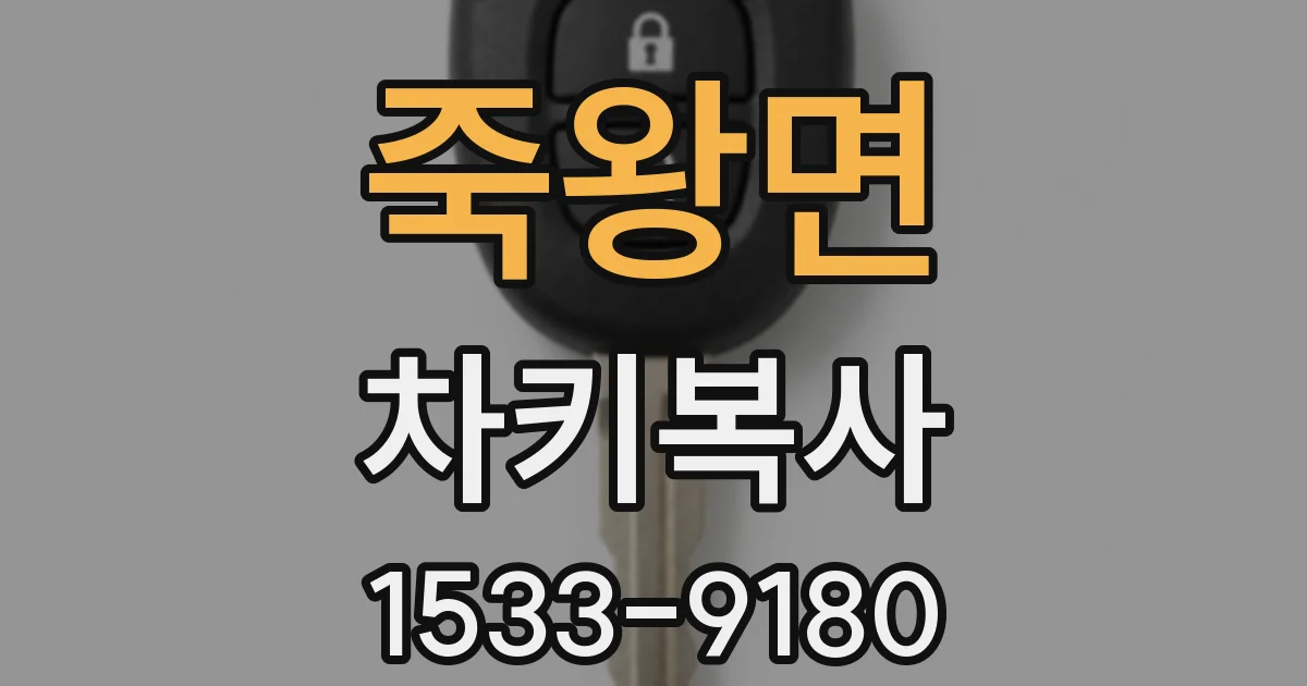 죽왕면 차키복사