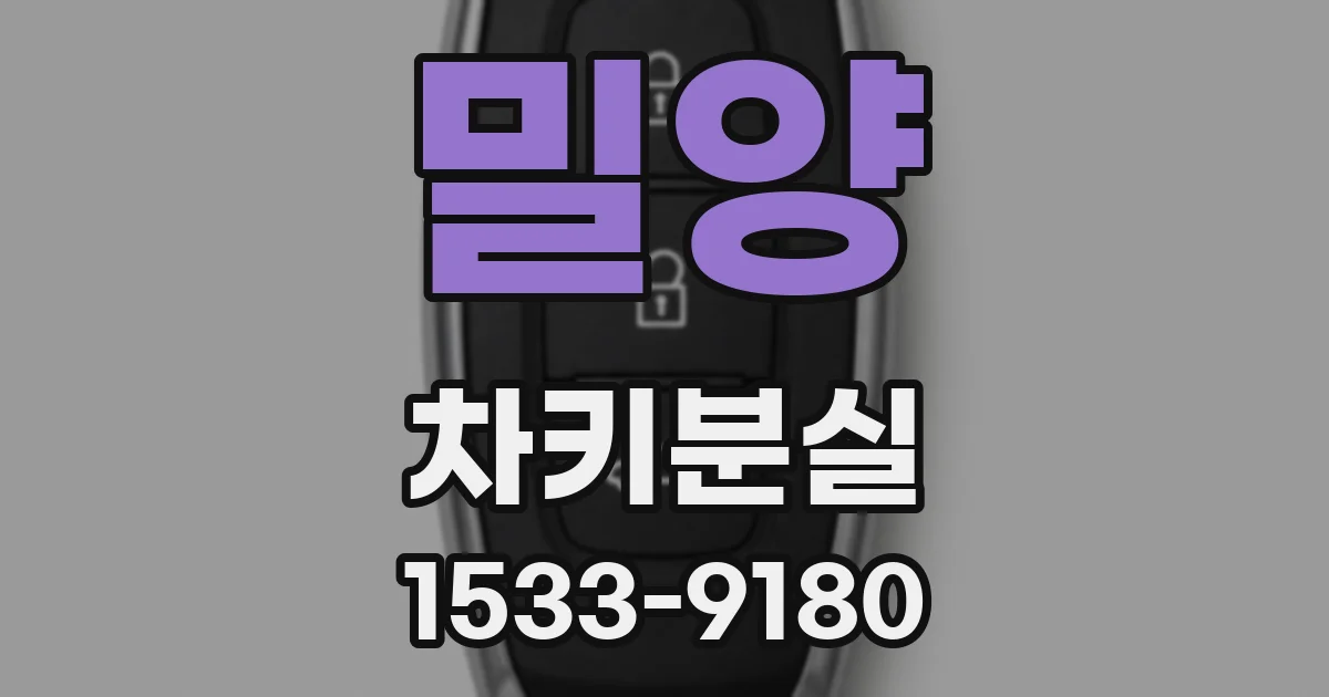 밀양 차키분실