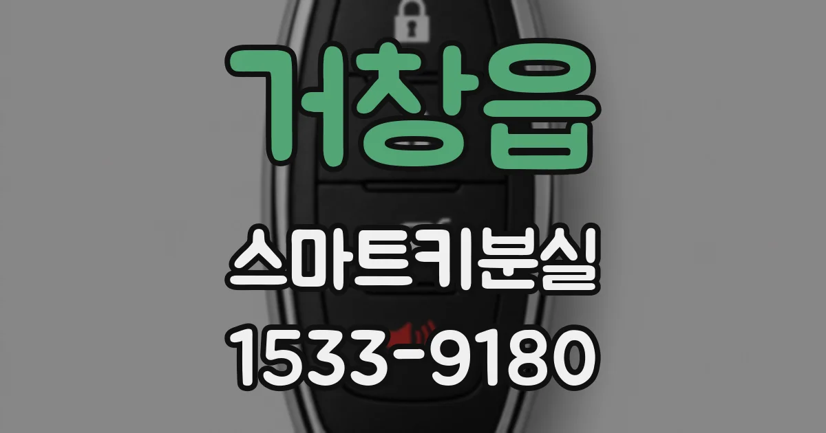 거창읍 스마트키분실