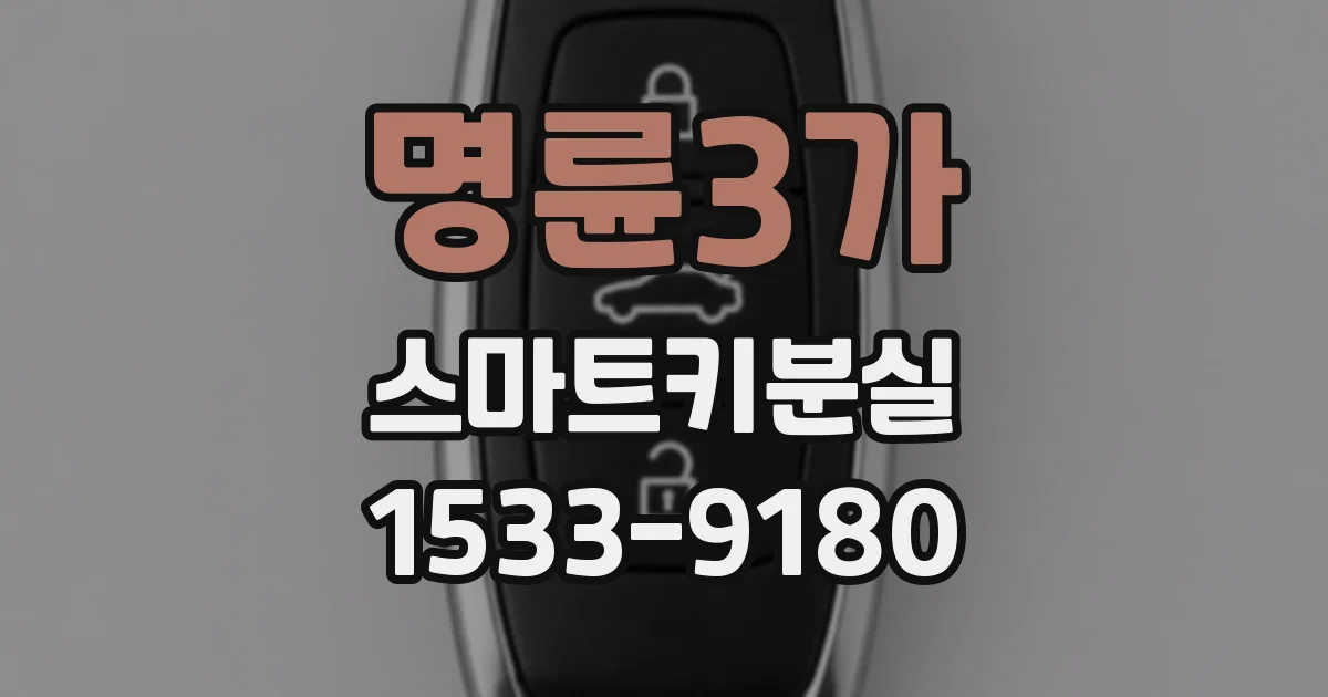 명륜3가 스마트키분실
