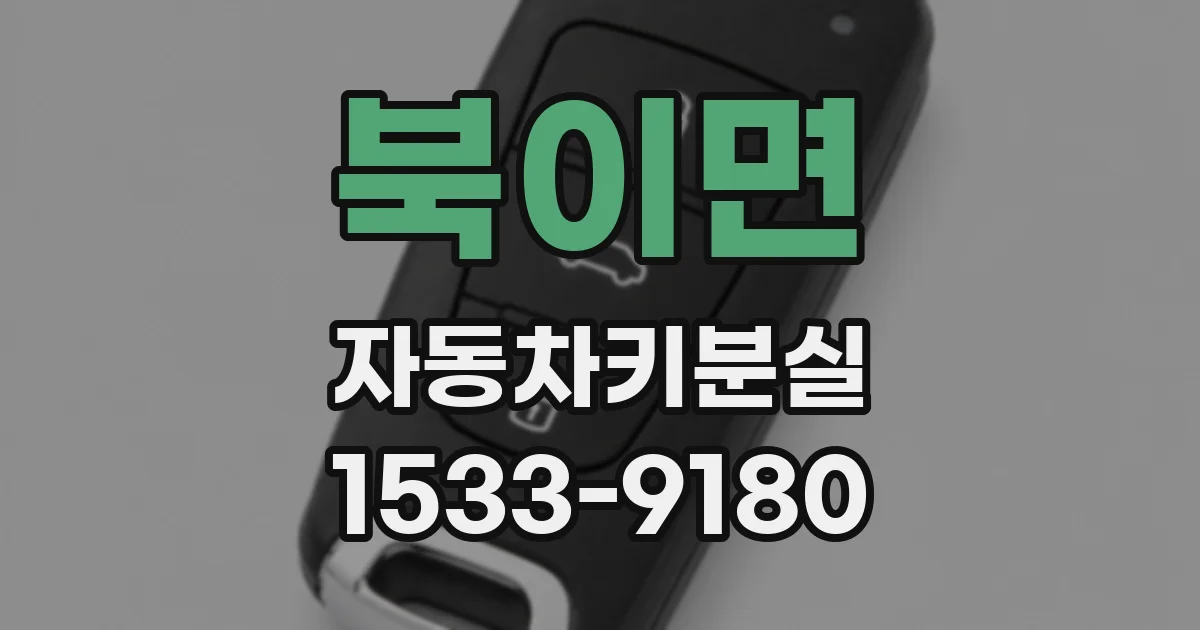 북이면 자동차키분실