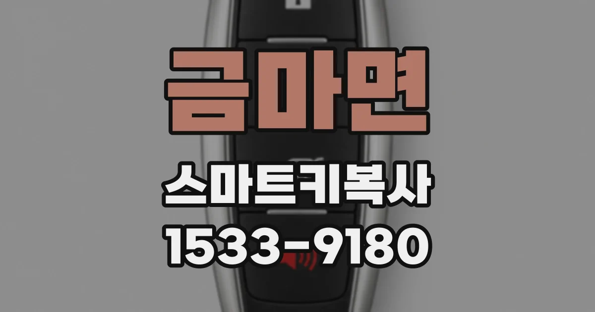금마면 스마트키복사