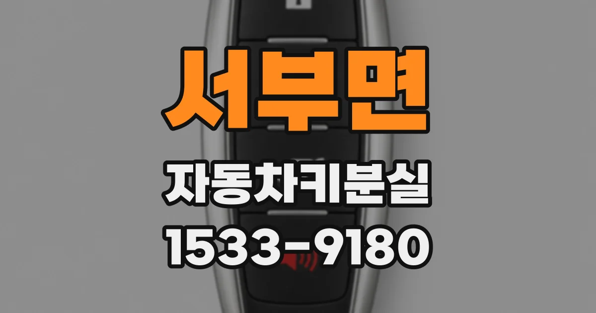 서부면 자동차키분실