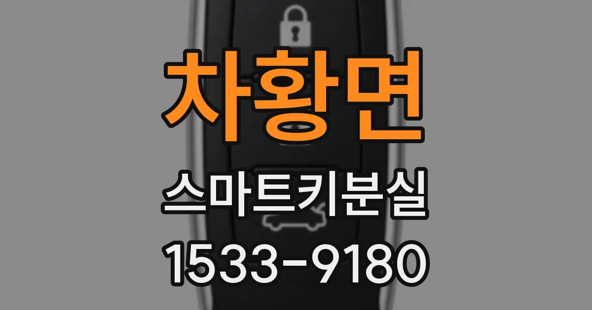 차황면 스마트키분실