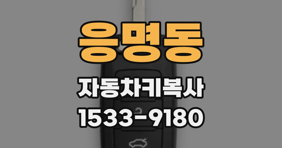 응명동 자동차키복사