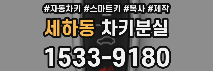 세하동 차키분실