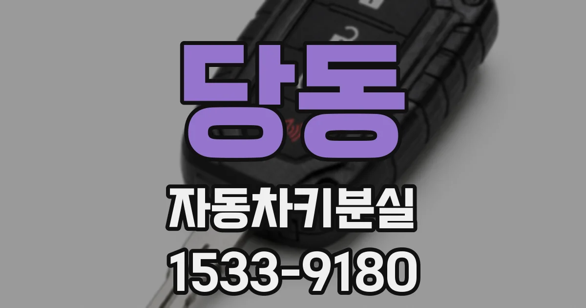 당동 자동차키분실