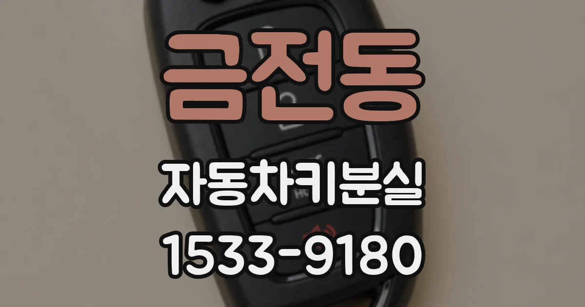 금전동 자동차키분실