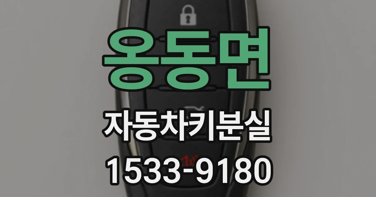 옹동면 자동차키분실
