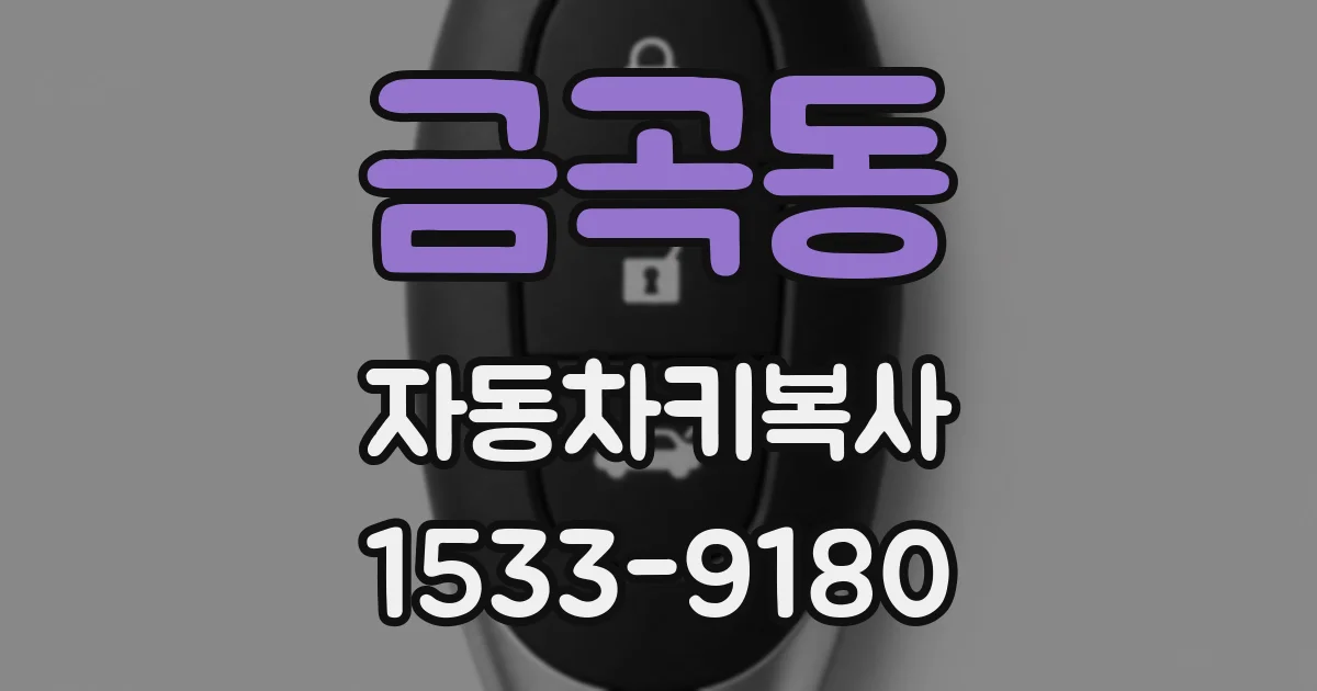 금곡동 자동차키복사