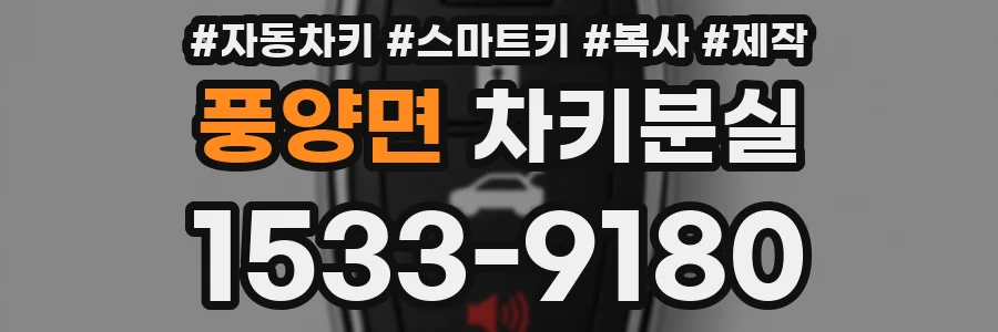풍양면 차키분실