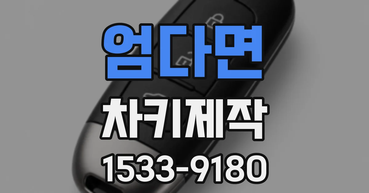 엄다면 차키제작
