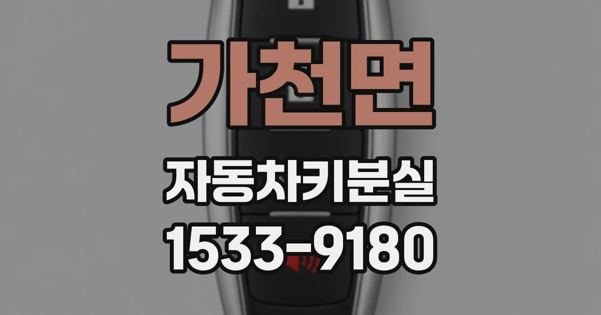 가천면 자동차키분실