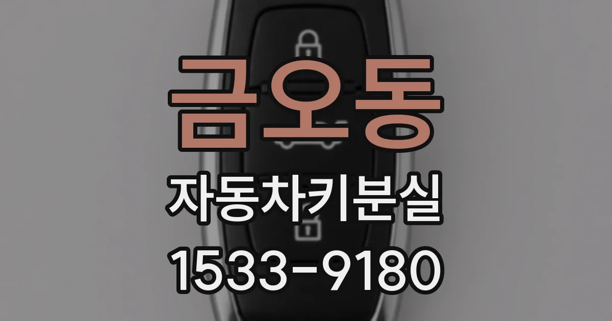 금오동 자동차키분실