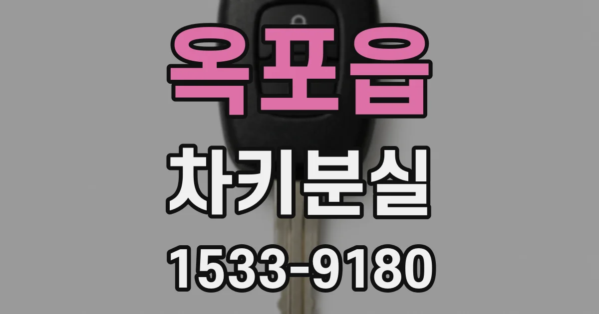 옥포읍 차키분실