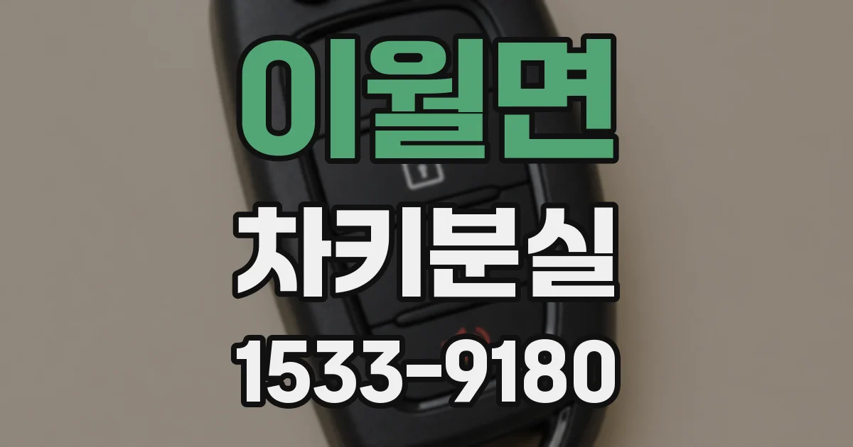이월면 차키분실