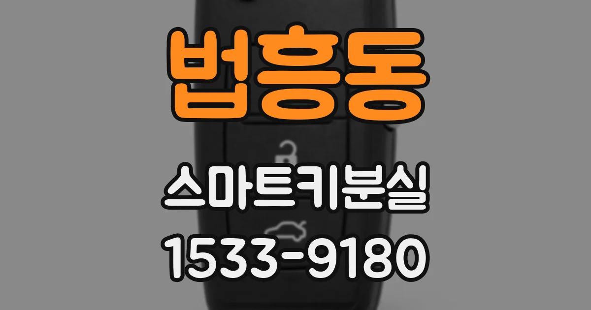 법흥동 스마트키분실