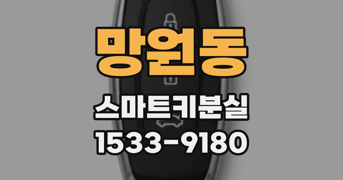 망원동 스마트키분실